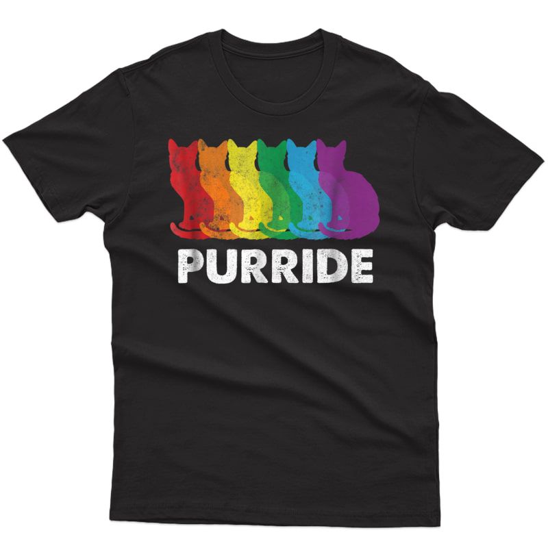 Pride Colorful Lgbt Purride Shirt - Rainbow Cat Lover Gift