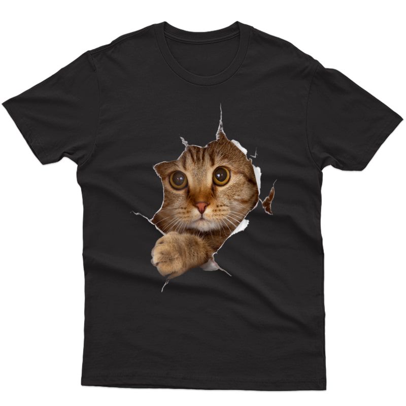 Sweet Kitten Torn Cloth 3d T-shirt - Funny Cat Lover Tee